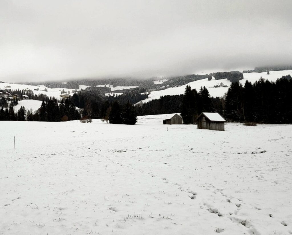 Winterlandschaft, schwarzweiss, Schnee mit Laufspuren, zwei kleine Holzställe, im Mittelgrund kleinere Waldflächen, Hochnebel verdeckt die Sicht auf die Berge